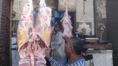 محافظ أسوان يشدد على تكثيف الرقابة على أسواق اللحوم لحماية صحة المواطنين