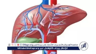 علامات مبكرة لسرطان الكبد قد ترافق فقدان الوزن المفاجئ.. تحذيرات طبية تكشف 3 تغيّرات خطيرة في الجسم
