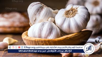 فوائد الثوم الصحية… كنز طبيعي مهمل في مطبخك