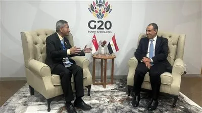 وزير الخارجية يلتقي نظيره السنغافوري على هامش أعمال قمة مجموعة العشرين