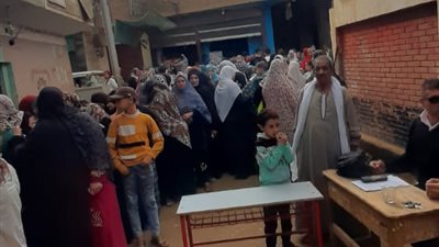بالصور.. إقبال كبير من السيدات على لجان الانتخابات بشبين القناطر