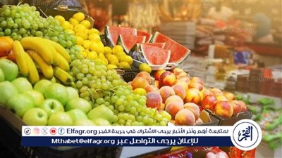 اسعار الفاكهه اليوم الثلاثاء 25نوفمبر 2025 فى المنيا 