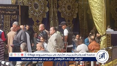 لجان الغربية تستقبل الناخبين في ثاني أيام انتخابات النواب وسط استعدادات مكثفة