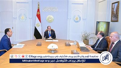 عاجل| الرئاسة تكشف تفاصيل اجتماع السيسي مع رئيس الوزراء ووزير المالية