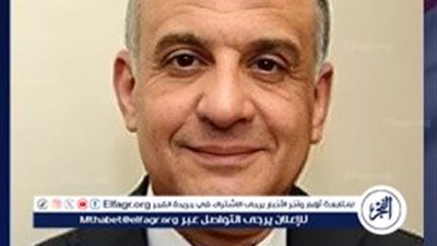 أستاذ قانون دستوري: ارتفاع إجمالي عدد الدوائر التي ألغيت فيها الانتخابات إلى 49 من أصل 70 دائرة بنسبة 70%