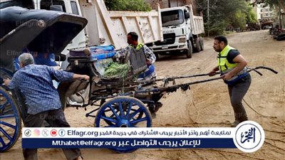  تنفيذ حملات تمشيطية بشوارع الأقصر لضبط عربات الحنطور المخالفة