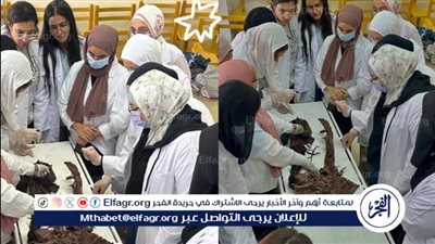 جامعة القاهرة الأهلية تعزز التدريب العملي لطلاب العلاج الطبيعي
