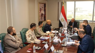 عاجل| مصرتدخل سباق المعادن النادرة 