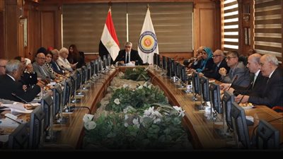 أمين عام المجلس الأعلى للجامعات يرأس اجتماع لجنة المعادلات