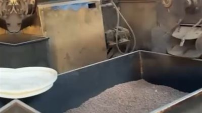 صحة القليوبية تضبط 5 أطنان 