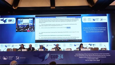 منال عوض تعلن تولى مصر رئاسة المكتب التنفيذى لإتفاقية برشلونة