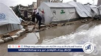 رتيبة النتشة: غزة تدخل شتاء ثالثا بلا مأوى… ووقف إطلاق النار الشرط الأول لإنقاذ الحياة
