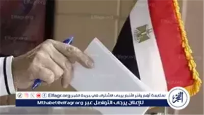 انتخابات النواب.. بدء تصويت المصريين بالخارج في 30 دائرة ملغاة بحكم القضاء