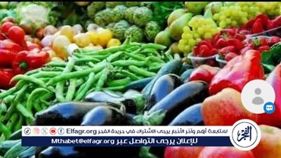 اسعار الفاكهة فى أسيوط اليوم الثلاثاء 9\12\2025