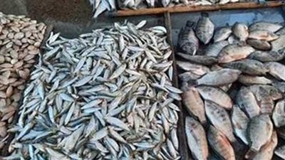 أسعار السمك اليوم الأربعاء 10-12-2025 في محافظة قنا