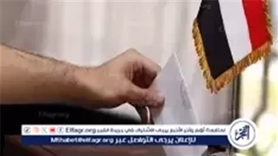 عاجل- طريقة التصويت الصحيحة في انتخابات الدوائر الملغاة لمجلس النواب 2025.. دليلك قبل التوجه للجان