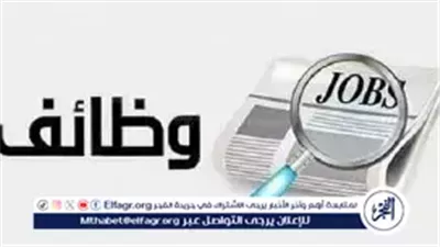 1900 فرصة عمل بقطاع الأمن في الجيزة برواتب تصل إلى 20 ألف جنيه.. التفاصيل كاملة