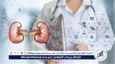 بالأرقام.. 10 علامات في البول والجلد تكشف أمراض الكلى حتى مع شرب المياه الكافية