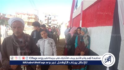 إقبال ملحوظ لكبار السن على لجان انتخابات مجلس النواب بالدائرة الثالثة بالفيوم