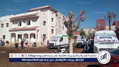 تقديم 1172 خدمة طبية في قافلة مجانية بني سويف