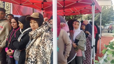 اليوم الثاني على التوالي.. السيدات تتصدر المشهد الانتخابي بدائرة المنتزة في الإسكندرية