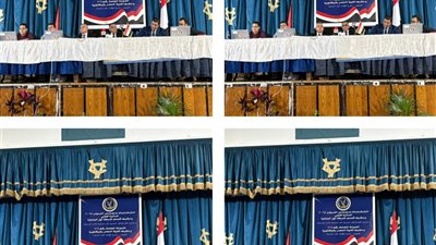 العدد الحصري لفرز الأصوات بدائرة المنتزة بمحافظة الإسكندرية بجولة الإعادة 