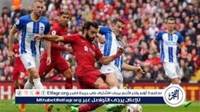 يلا كووورة.. شاهد مباراة ليفربول وبرايتون في الدوري الإنجليزي والقنوات الناقلة