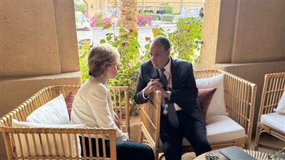 وزير الخارجية يلتقي مع مستشارة الرئيس الفرنسي لشئون الشرق الأوسط على هامش منتدى صير بنى ياس