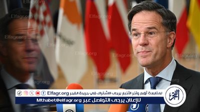 أوربان يشكك في بقاء روتّه بمنصبه بعد تصريحاته عن روسيا