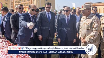 صندوق تحيا مصر يطلق 