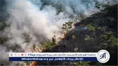 الأمازون على حافة كارثة بيئية.. حرارة وجفاف غير مسبوقين منذ 10 ملايين عام