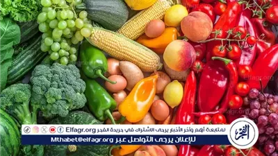 اسعار الخضروات اليوم الإثنين 15ديسمبر 2025 فى اسواق المنيا 