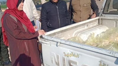 محافظ الدقهلية يكلف بتشكيل لجنة تفتيشية للمرور والتفتيش على المخابز