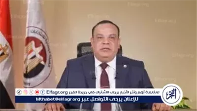 عاجل- إعلان نتائج الدوائر الـ30 الملغاة من المرحلة الأولى لانتخابات مجلس النواب 2025 غدًا