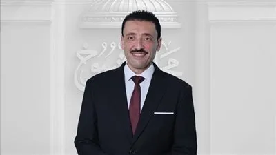 النائب محمد رزق: مصر تواصل دورها المحوري في دعم قطاع غزة إنسانيًا وسياسيًا