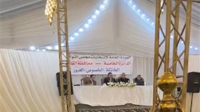 اللجنة العامة بالخانكة والخصوص والعبور تعلن الحصر العددي لجولة الإعادة بانتخابات مجلس النواب بالقليوبية