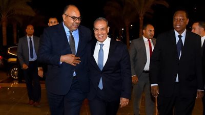 وزير الخارجية يلتقي نظيره التنزاني