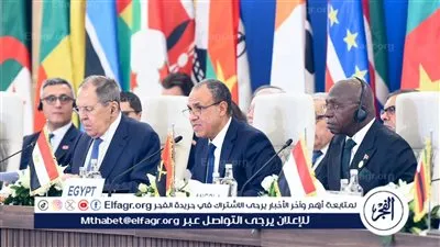وزير الخارجية يستعرض رؤية مصر للأمن والتنمية في إفريقيا (صور)