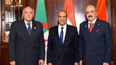 وزير الخارجية يعقد اجتماعًا ثلاثيا حول ليبيا مع نظيريه الجزائري والتونسي