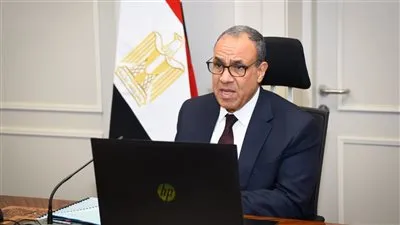 لقاء افتراضي لوزير الخارجية مع الجالية المصرية في كمبوديا وسنغافورا وتايلاند