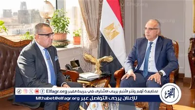 وزير الري ومحافظ جنوب سيناء يبحثان مشروعات الموارد المائية وضوابط استخدام المياه الجوفية 