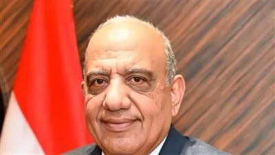 عاجل| مصر تبحث مع الصين استغلال المعادن النادرة 