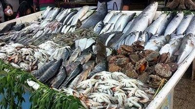 هدوء نسبي في أسعار الأسماك والمأكولات البحرية بأسواق الإسكندرية