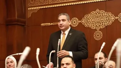 نائب الشيوخ عماد خليل يدعم تعديل قانون الكهرباء لمواجهة سرقات التيار