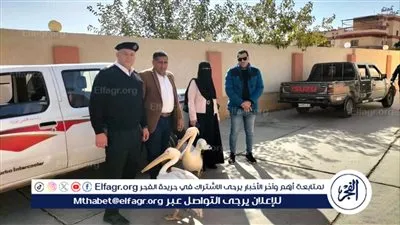 التحفظ على 2 من طيور البجع من سوق الأسماك المطور بالإسماعيلية ونقلهم إلى محمية أشتوم الجميل