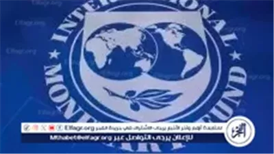 عاجل- صندوق النقد الدولي يشيد بالنمو الاقتصادي لمصر ويؤكد فعالية السياسات المالية والنقدية
