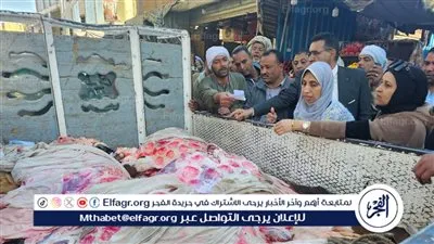 ضبط لحوم غير خاضعة للإشراف البيطري بإسنا جنوب الأقصر وغير صالحه للاستخدام الأدمى