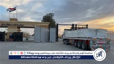 عاجل- الهلال الأحمر المصري يرسل 5900 طن مساعدات ضمن قافلة زاد العزة الـ102 إلى غزة