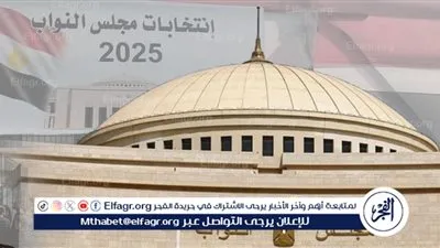 لليوم الثاني.. السفارات المصرية في 18 دولة تواصل استقبال الناخبين 