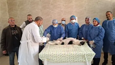  انطلاق المرحلة الثانية من مبادرة 